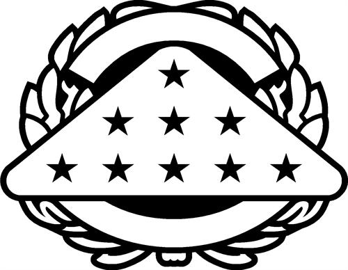 Vet Medallion