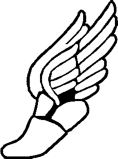 Winged Shoe