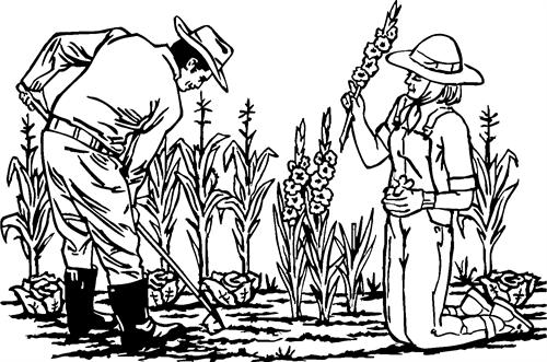 Gardening02