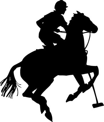 Polo player